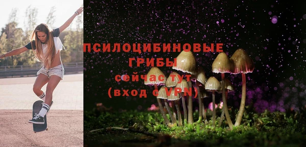 ешки Дмитровск
