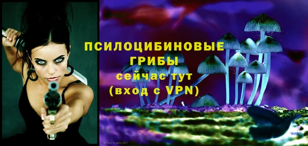 ешки Дмитровск
