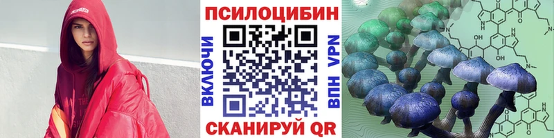 Купить где  Каргополь  Галлюциногенные грибы Cubensis 