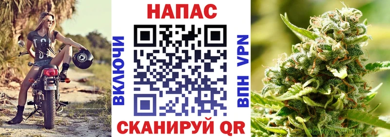 Купить где  Каргополь  МАРИХУАНА White Widow 
